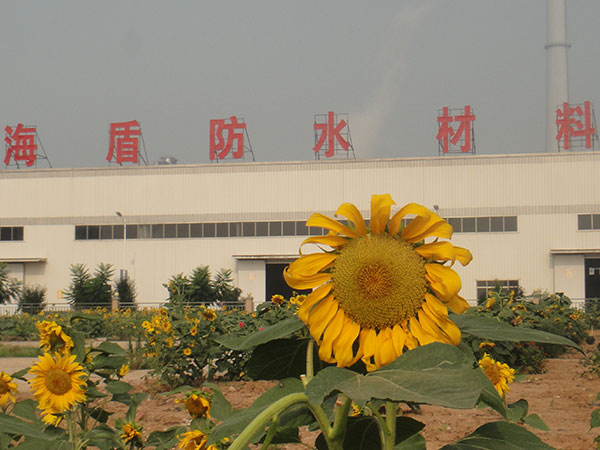 公司一角